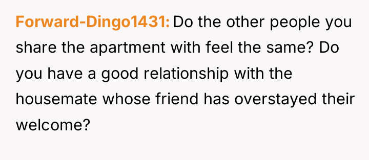 Forward-Dingo1431 Do the other people you share the apartment with...
