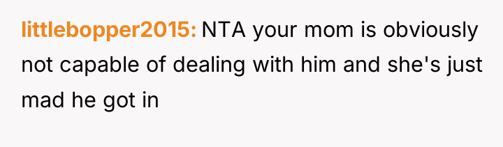 littlebopper2015 NTA your mom is obviously not capable of dealing...