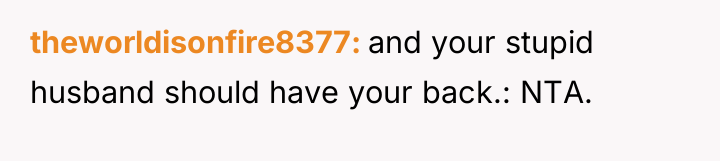 theworldisonfire8377 and your stupid husband should have your back.: NTA.