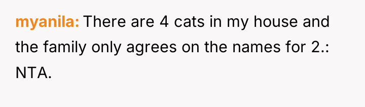 myanila There are 4 cats in my house and the...