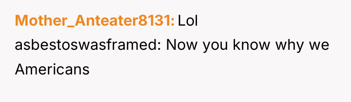 Mother_Anteater8131 Lol asbestoswasframed: Now you know why we Americans