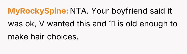 MyRockySpine NTA. Your boyfriend said it was ok, V wanted...