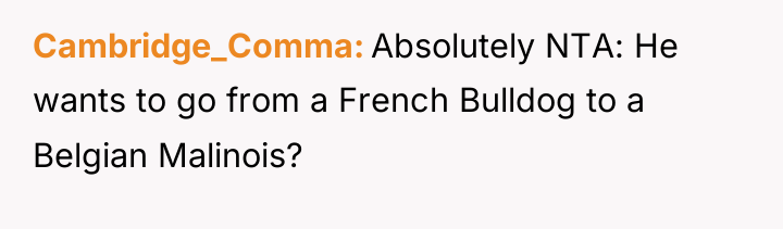 Cambridge_Comma Absolutely NTA: He wants to go from a French...