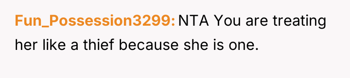 Fun_Possession3299 NTA You are treating her like a thief because...