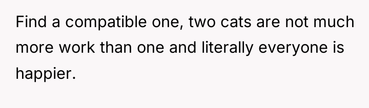 Find a compatible one, two cats are not much more...