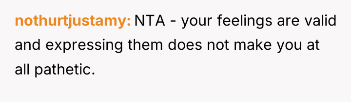 nothurtjustamy NTA - your feelings are valid and expressing them...