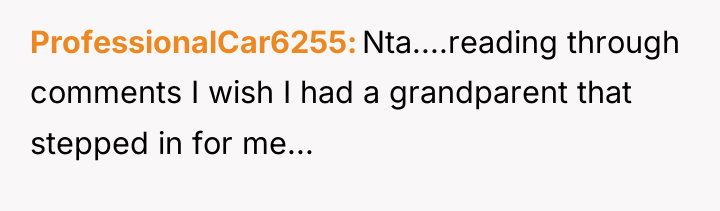 ProfessionalCar6255 Nta....reading through comments I wish I had a grandparent...