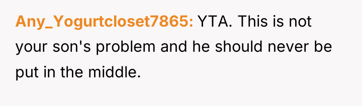 Any_Yogurtcloset7865 YTA. This is not your son's problem and he...