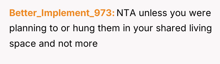 Better_Implement_973 NTA unless you were planning to or hung them...