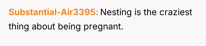 Substantial-Air3395 Nesting is the craziest thing about being pregnant.