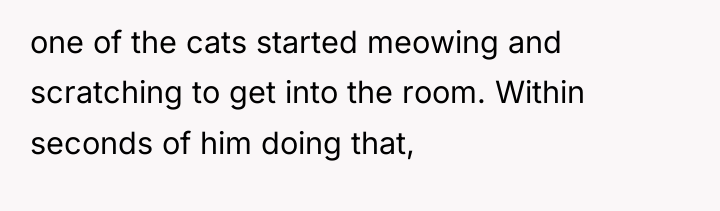 one of the cats started meowing and scratching to get...