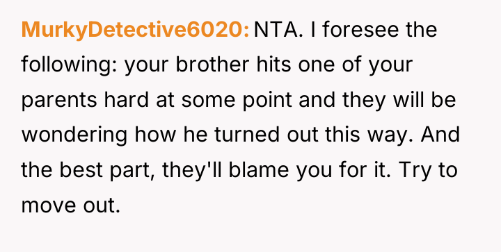 MurkyDetective6020 NTA. I foresee the following: your brother hits one...