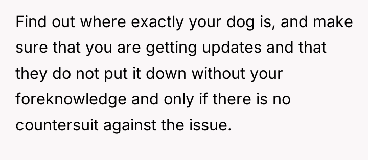 Find out where exactly your dog is, and make sure...