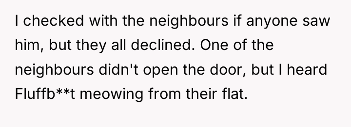 I checked with the neighbours if anyone saw him, but...