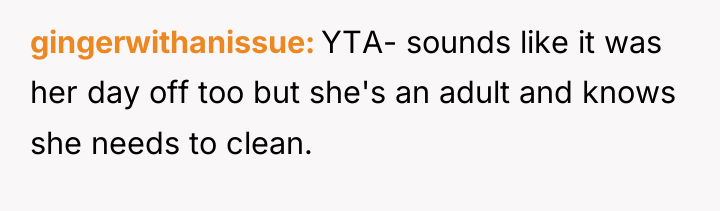 gingerwithanissue YTA- sounds like it was her day off too...