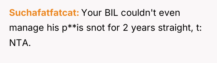 Suchafatfatcat Your BIL couldn't even manage his p**is snot for...