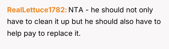 RealLettuce1782 NTA - he should not only have to clean...