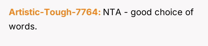 Artistic-Tough-7764 NTA - good choice of words.