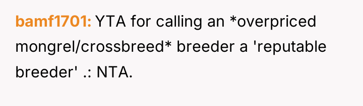 bamf1701 YTA for calling an *overpriced mongrel/crossbreed* breeder a 'reputable...