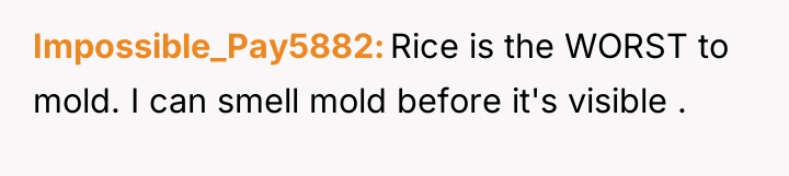 Impossible_Pay5882 Rice is the WORST to mold. I can smell...
