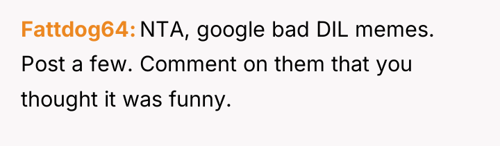 Fattdog64 NTA, google bad DIL memes. Post a few. Comment...
