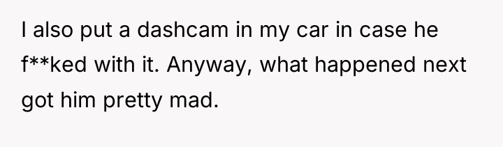 I also put a dashcam in my car in case...