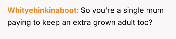 Whityehinkinaboot So you're a single mum paying to keep an...