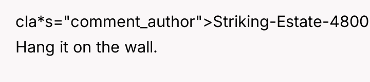 cla*s="comment_author">Striking-Estate-4800: Hang it on the wall.