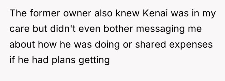 The former owner also knew Kenai was in my care...