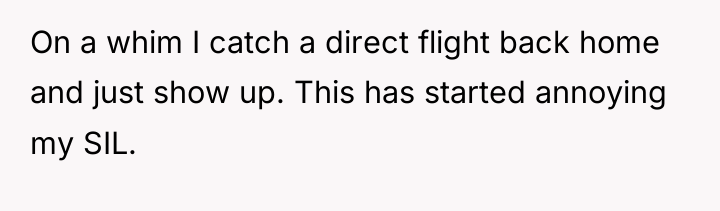 On a whim I catch a direct flight back home...