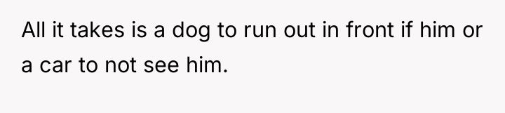 All it takes is a dog to run out in...