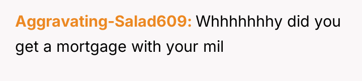 Aggravating-Salad609 Whhhhhhhy did you get a mortgage with your mil