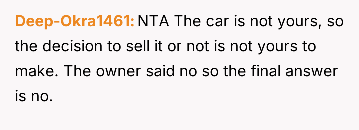 Deep-Okra1461 NTA The car is not yours, so the decision...
