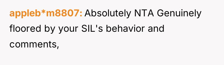appleb*m8807 Absolutely NTA Genuinely floored by your SIL's behavior and...
