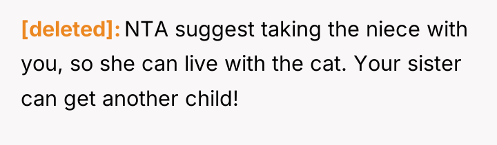 [deleted] NTA suggest taking the niece with you, so she...