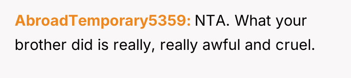 AbroadTemporary5359 NTA. What your brother did is really, really awful...