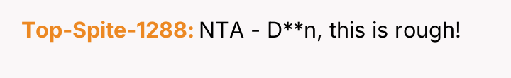 Top-Spite-1288 NTA - D**n, this is rough!