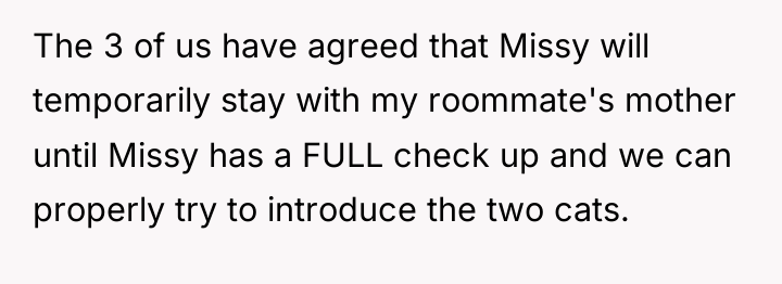 The 3 of us have agreed that Missy will temporarily...