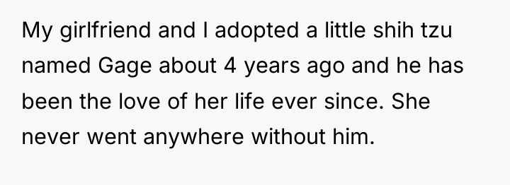 My girlfriend and I adopted a little shih tzu named...