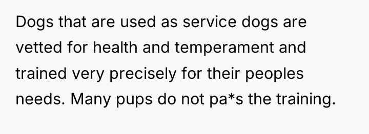 Dogs that are used as service dogs are vetted for...
