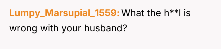 Lumpy_Marsupial_1559 What the h**l is wrong with your husband?