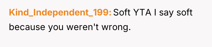 Kind_Independent_199 Soft YTA I say soft because you weren't wrong.
