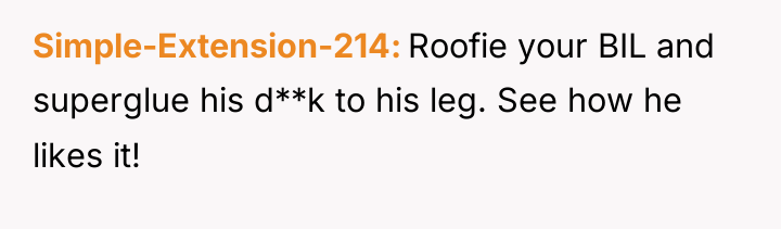 Simple-Extension-214 Roofie your BIL and superglue his d**k to his...
