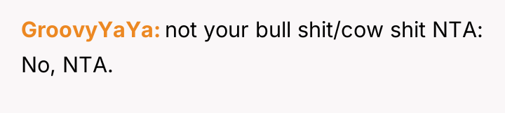 GroovyYaYa not your bull shit/cow shit NTA: No, NTA.