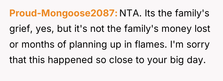 Proud-Mongoose2087 NTA. Its the family's grief, yes, but it's not...