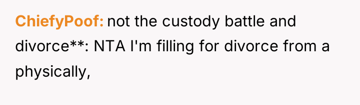 ChiefyPoof not the custody battle and divorce**: NTA I'm filling...