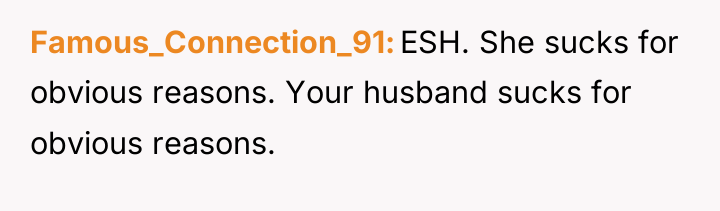Famous_Connection_91 ESH. She sucks for obvious reasons. Your husband sucks...
