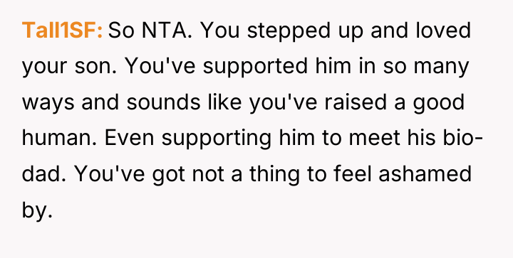 Tall1SF So NTA. You stepped up and loved your son....