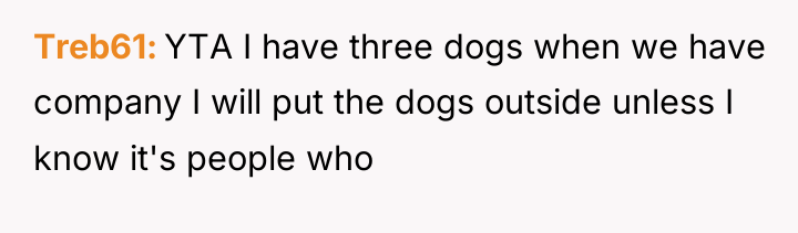 Treb61 YTA I have three dogs when we have company...