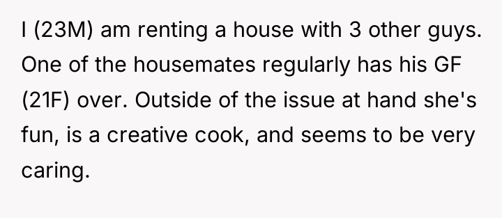 I (23M) am renting a house with 3 other guys....